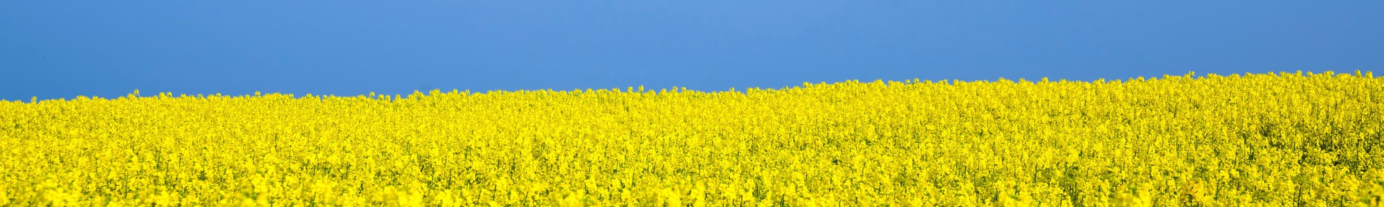 Ukraine Istock 187934701
